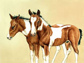 Western, Equine Art - Pair of Paint Colts